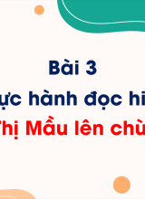 Bài 3 - Thực hành đọc hiểu Thị Mầu lên chùa